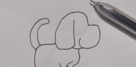 简笔画狗怎么画（简笔画狗怎么画 简单）