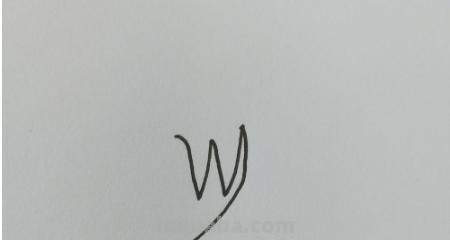 鸟怎么画简笔画（鸟怎么画简笔画图片）