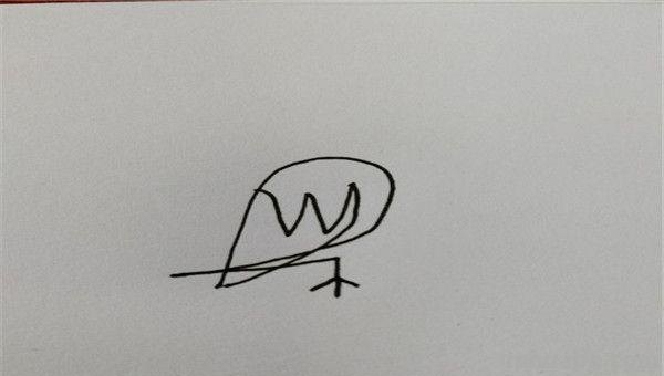 鸟怎么画简笔画（鸟怎么画简笔画图片）