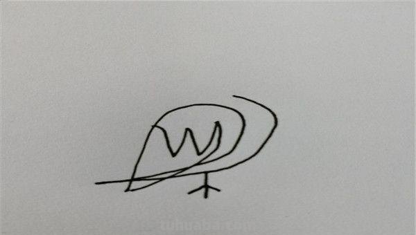 鸟怎么画简笔画（鸟怎么画简笔画图片）