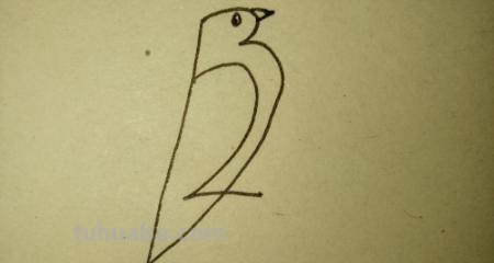 鸟怎么画简笔画（鸟怎么画简笔画图片）