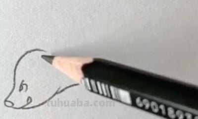 熊怎么画简笔画（仔仔熊怎么画简笔画）