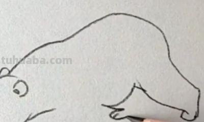 熊怎么画简笔画（仔仔熊怎么画简笔画）