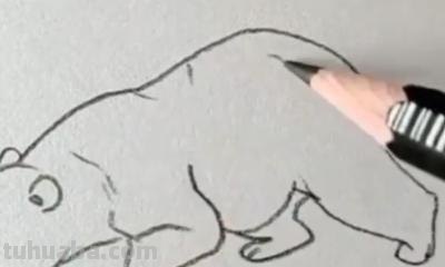 熊怎么画简笔画（仔仔熊怎么画简笔画）