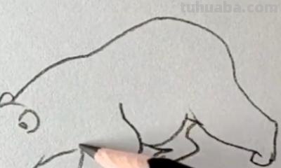 熊怎么画简笔画（仔仔熊怎么画简笔画）