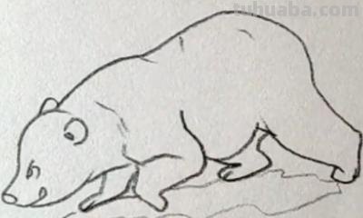 熊怎么画简笔画（仔仔熊怎么画简笔画）