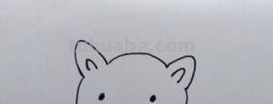 熊怎么画简笔画（仔仔熊怎么画简笔画）