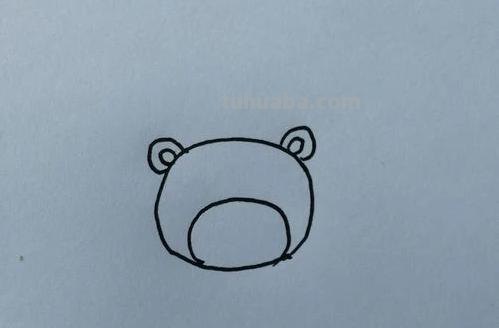 熊怎么画简笔画（仔仔熊怎么画简笔画）