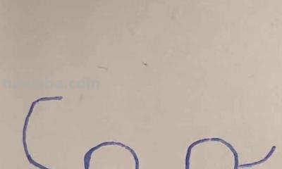 车怎么画简笔画（简单汽车怎么画简笔画）