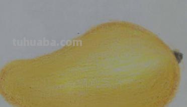 怎么学彩铅画（怎么学彩铅画高阶画）