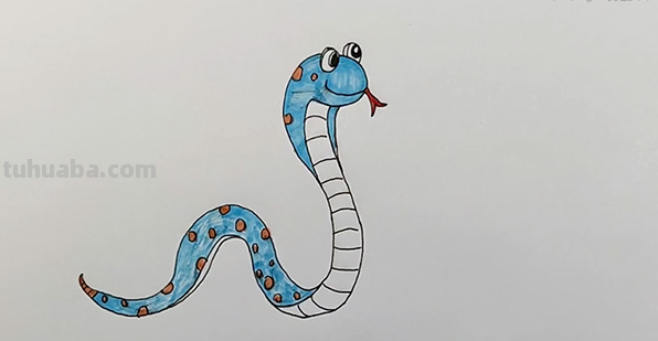 彩铅蛇怎么画（彩铅蛇怎么画简单）