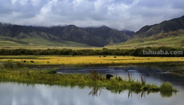 新疆风景速写（新疆风景速写图片）