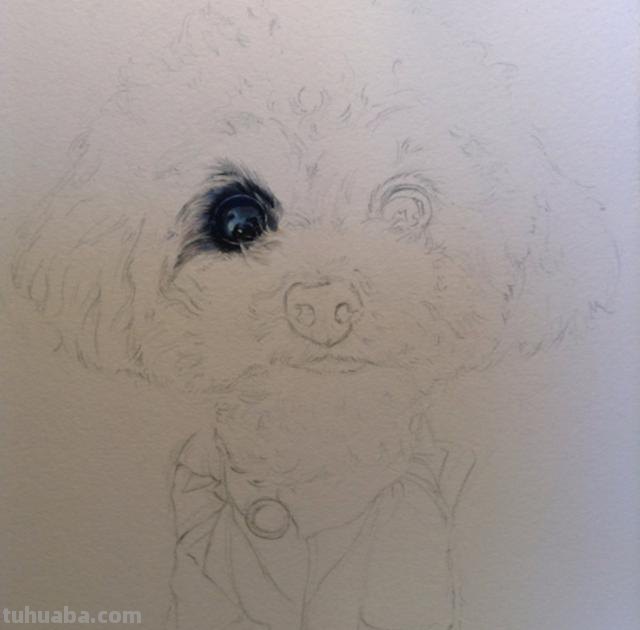 狗怎么画彩铅（狗怎么画彩铅画）