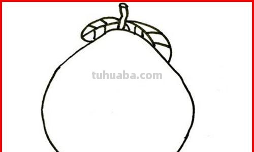 怎么画水果简笔画（怎么画水果简笔画视频）
