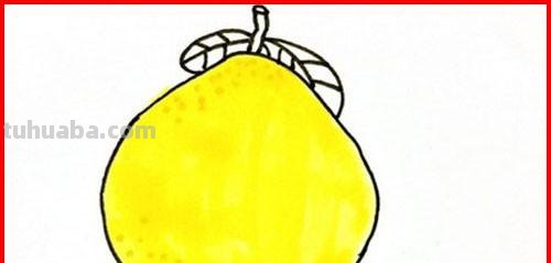 怎么画水果简笔画（怎么画水果简笔画视频）
