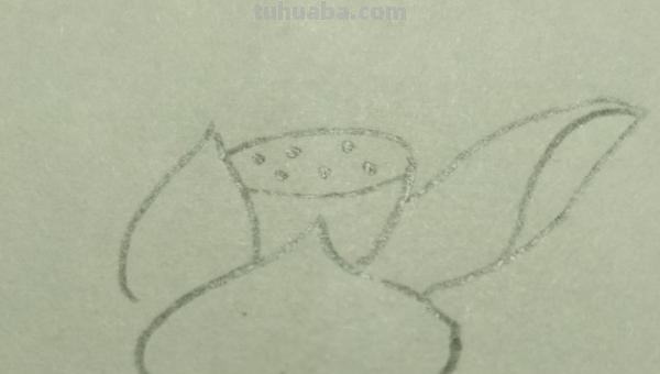 彩铅怎么画花(彩铅怎么画花海画) 彩铅怎么画花(彩铅怎么画花海画)