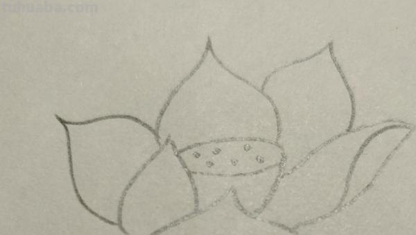 彩铅怎么画花(彩铅怎么画花海画) 彩铅怎么画花(彩铅怎么画花海画)