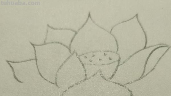 彩铅怎么画花(彩铅怎么画花海画) 彩铅怎么画花(彩铅怎么画花海画)