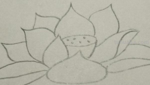 彩铅怎么画花(彩铅怎么画花海画) 彩铅怎么画花(彩铅怎么画花海画)