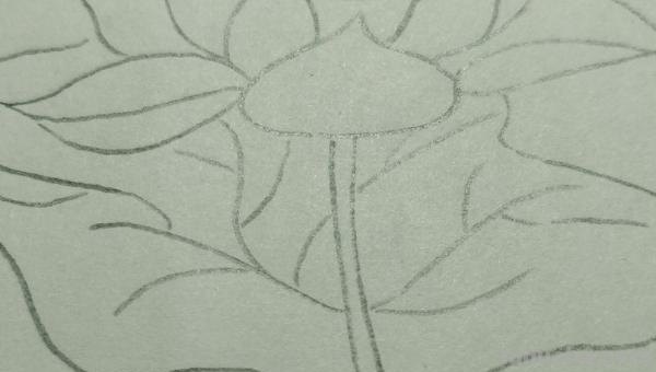 彩铅怎么画花(彩铅怎么画花海画) 彩铅怎么画花(彩铅怎么画花海画)