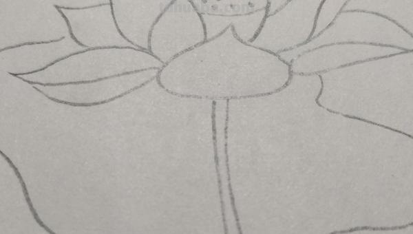 彩铅怎么画花(彩铅怎么画花海画) 彩铅怎么画花(彩铅怎么画花海画)