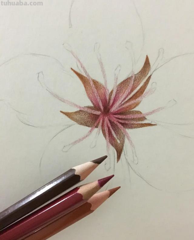 彩铅怎么画花(彩铅怎么画花海画) 彩铅怎么画花(彩铅怎么画花海画)