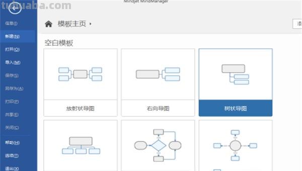 大树思维导图怎么画（大树思维导图怎么画六年级）