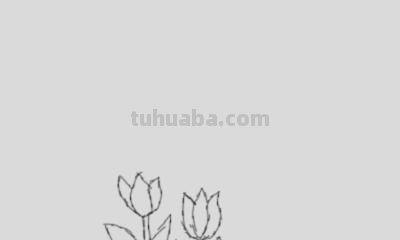 怎么画植物简笔画（怎么画植物简笔画图画）