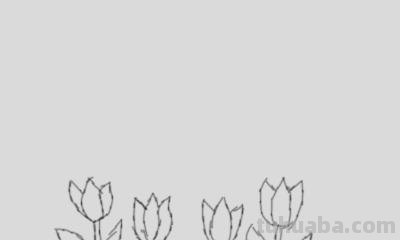 怎么画植物简笔画（怎么画植物简笔画图画）