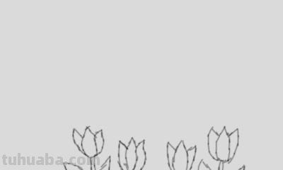 怎么画植物简笔画（怎么画植物简笔画图画）