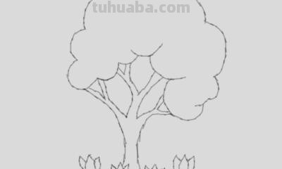 怎么画植物简笔画（怎么画植物简笔画图画）