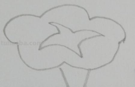 怎么画植物简笔画（怎么画植物简笔画图画）