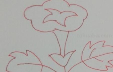 怎么画植物简笔画（怎么画植物简笔画图画）