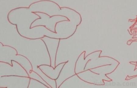 怎么画植物简笔画（怎么画植物简笔画图画）