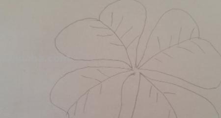 怎么画植物简笔画（怎么画植物简笔画图画）