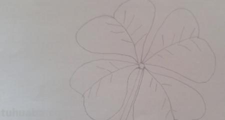 怎么画植物简笔画（怎么画植物简笔画图画）