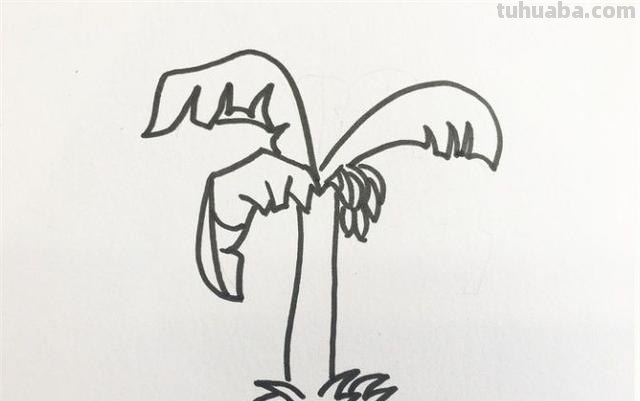 怎么画植物简笔画（怎么画植物简笔画图画）
