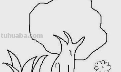 怎么画植物简笔画（怎么画植物简笔画图画）