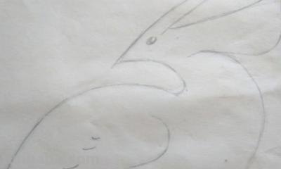 彩铅鸟怎么画(彩铅鸟怎么画一步一步教) 彩铅鸟怎么画(彩铅鸟怎么画一步一步教)