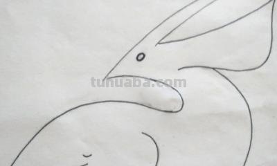 怎么画鸟简笔画（怎么画鸟简笔画图片大全）