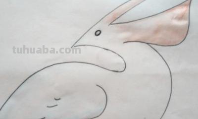 怎么画鸟简笔画（怎么画鸟简笔画图片大全）
