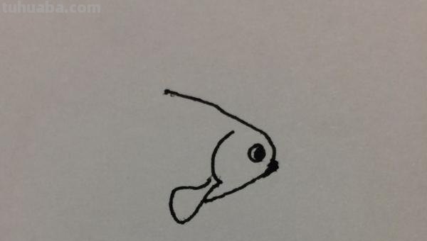 彩铅画金鱼怎么画步骤（金鱼彩铅画法）