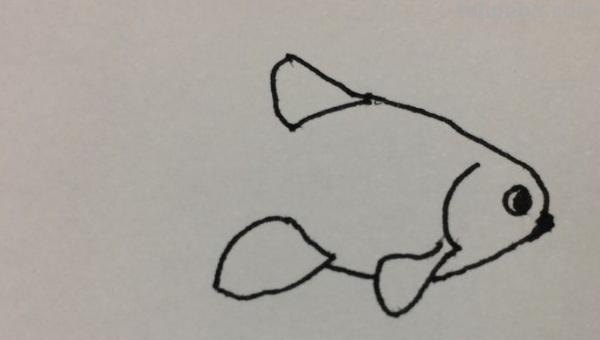 彩铅画金鱼怎么画步骤（金鱼彩铅画法）