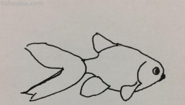 彩铅画金鱼怎么画步骤（金鱼彩铅画法）