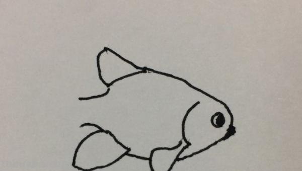 彩铅画金鱼怎么画步骤（金鱼彩铅画法）