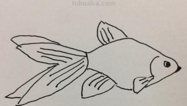 彩铅画金鱼怎么画步骤（金鱼彩铅画法）