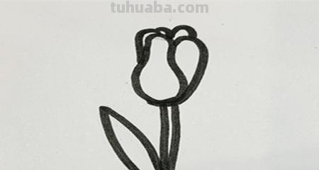 植物简笔画怎么画（植物简笔画怎么画的又漂亮又好看）