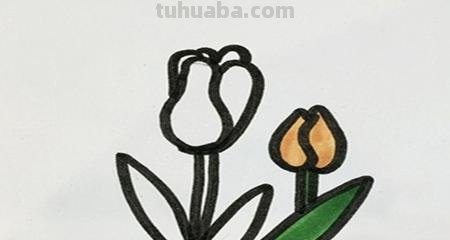 植物简笔画怎么画（植物简笔画怎么画的又漂亮又好看）