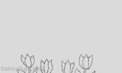 植物简笔画怎么画（植物简笔画怎么画的又漂亮又好看）