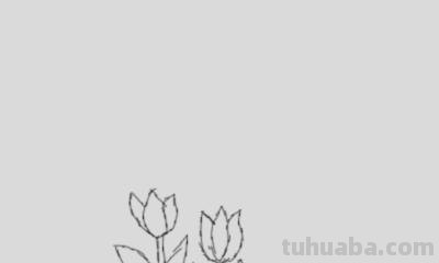 植物简笔画怎么画（植物简笔画怎么画的又漂亮又好看）